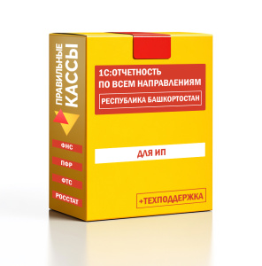 Отчетность_ИП_Республика Башкортостан